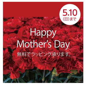 N+ 母の日｜想いが伝わる無料ラッピングキャンペーン実施中