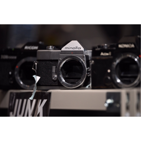Nikon Z 5II x NIKKOR Z 100-400mm 超望遠でもこの軽さ？！？！