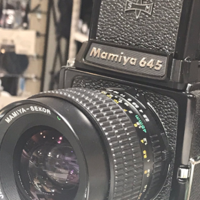 【入荷情報】