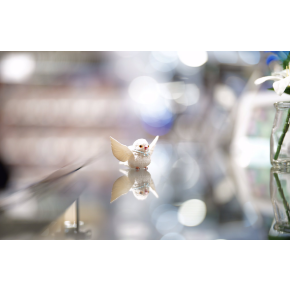 最上位であるG Masterシリーズ入荷!!!!!!!