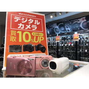 春を彩るピンクのカメラ