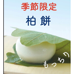 初夏の味わい 2種類の柏餅 （こしあん-粒あん)