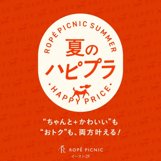 「夏のハピプラ | “ちゃんと+かわいい”も“おトク”も、両方叶える!」