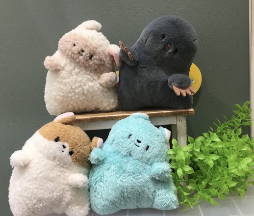 ちらっ👀
