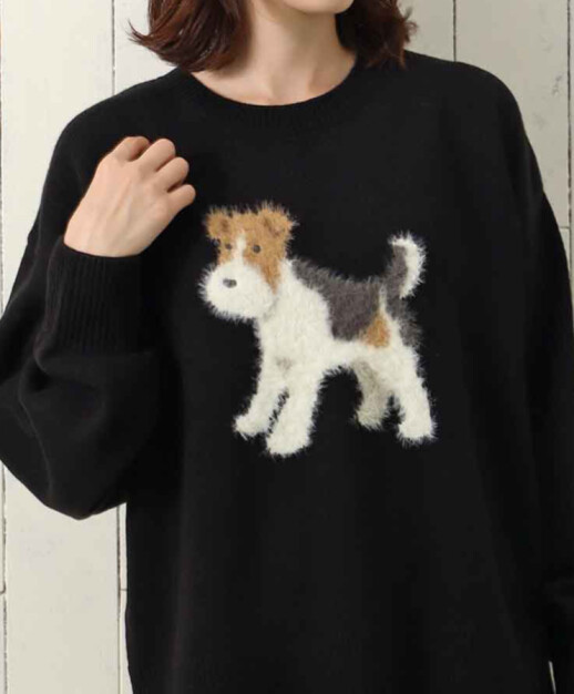 11月1日は犬の日!!🐩