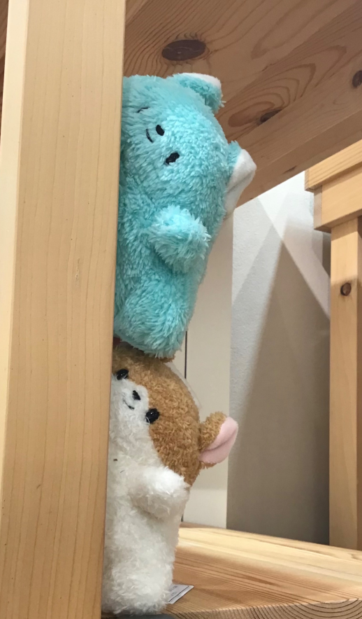 ちらっ👀