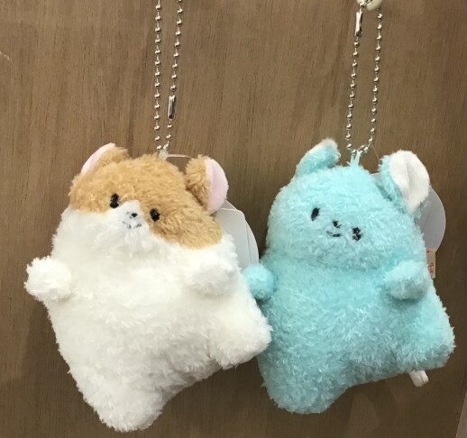 ちらっ👀