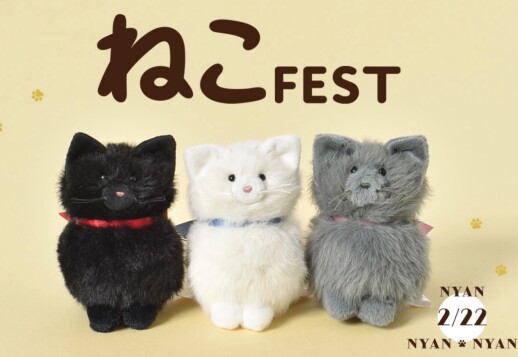 ネコフェス　スタートです。