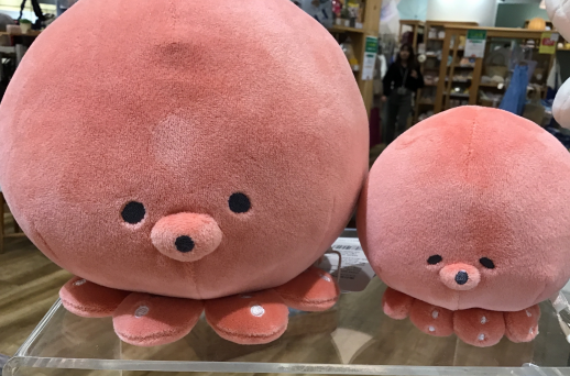 お得なイベント開催中🎉