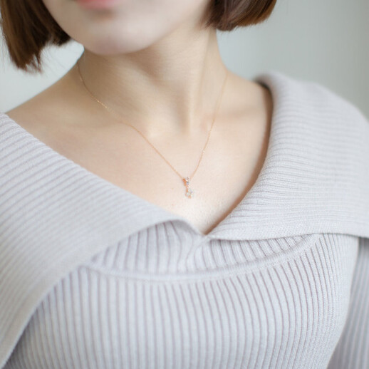 バースフラワー11月の誕生花『ブバリア』