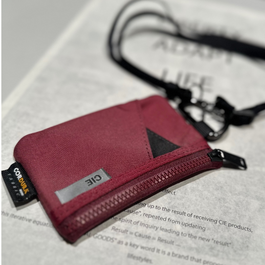 CIE-SLANT COINCASE-2