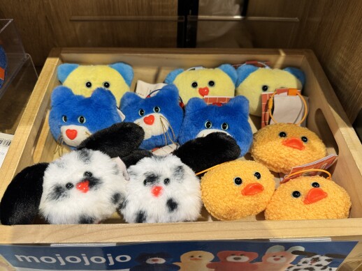 モジョジョジョ 来てます‼︎