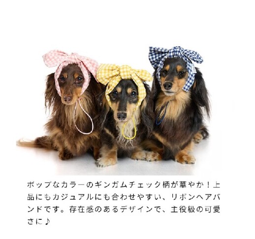 春のお出かけにオススメ♬ペット用品のご紹介!