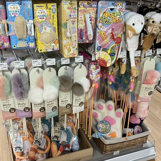 にゃんにゃんにゃんday🐾