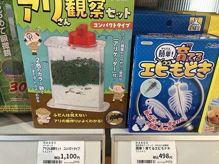 外はとても暑いから・・