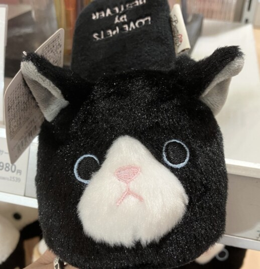 にゃんにゃんにゃんday🐾