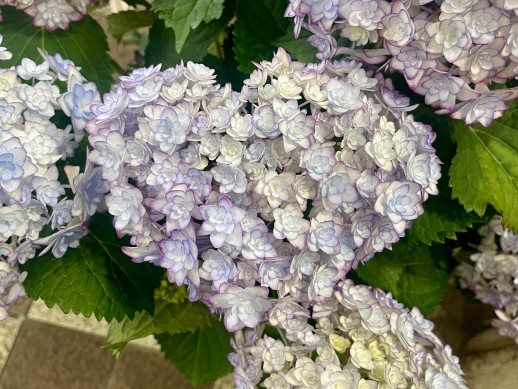 ☆5.12☆　母の日です♪