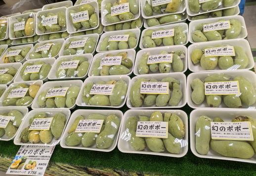 正面催事場【信州楽市】☆幻の果実 ポポー☆