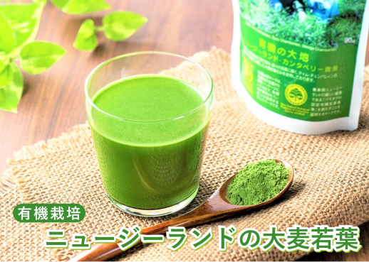 正面催事場【ソーキ】大麦若葉