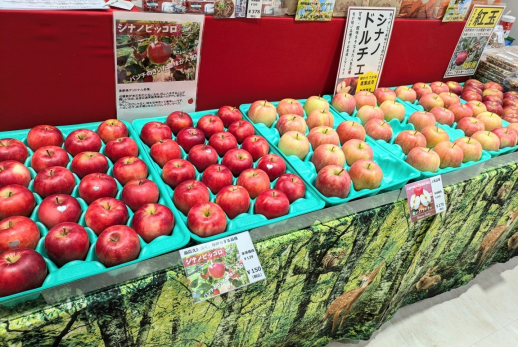 正面催事場【信州楽市】☆幻の果実 ポポー☆