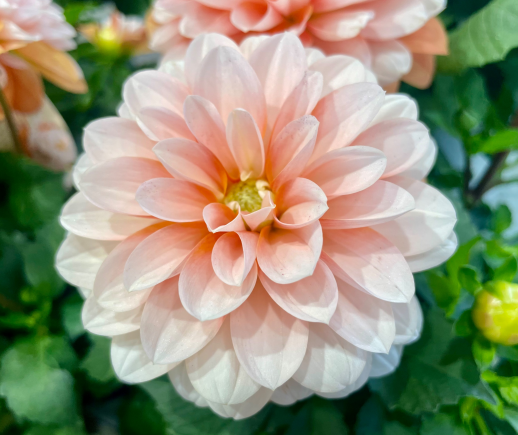 ☆5.12☆ 母の日です♪