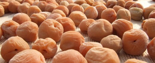 和歌山県より販売にきています<松晃梅>