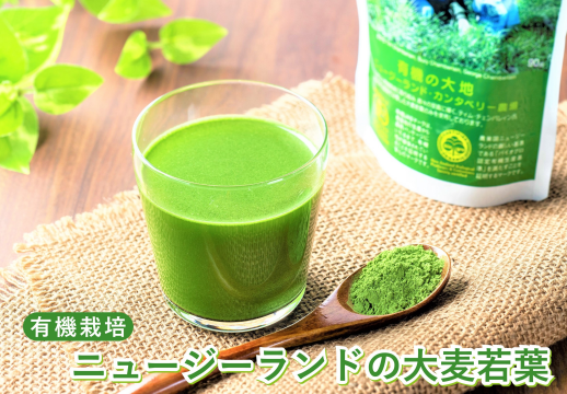 正面催事場【ソーキ】大麦若葉