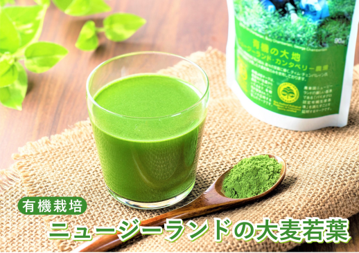 正面催事場【ソーキ】大麦若葉
