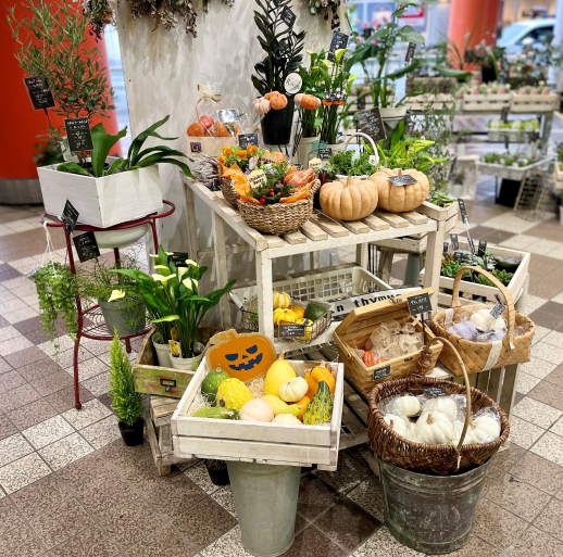 Halloween2024【ガーデンタイム】