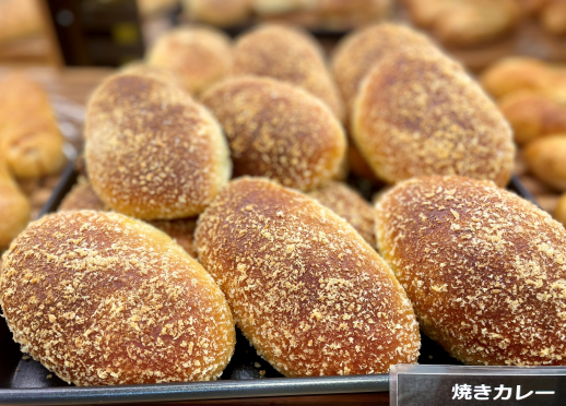 本日〈アルパカ〉DAY!