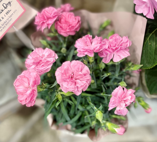 ☆5.12☆ 母の日です♪