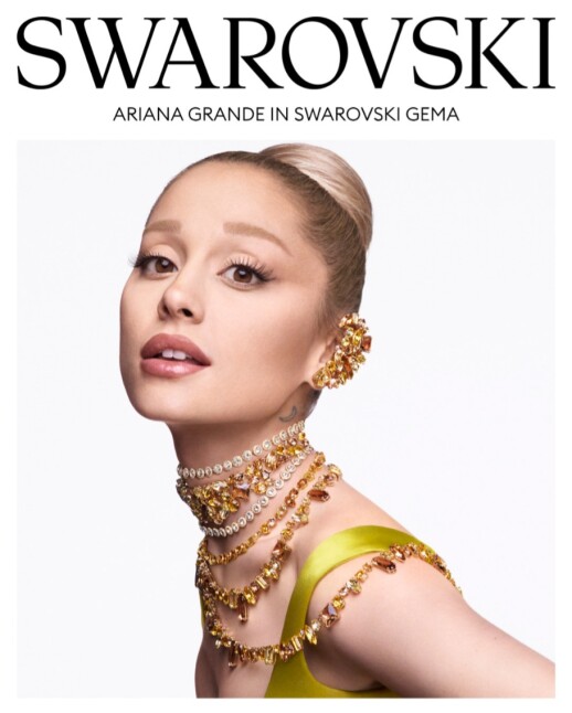 【 Swarovski 2025年秋冬コレクション 】