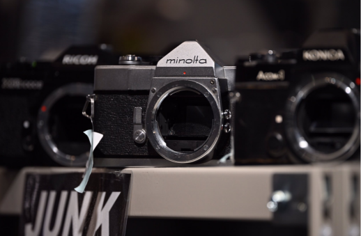 Nikon Z 5II x NIKKOR Z 100-400mm 超望遠でもこの軽さ？！？！