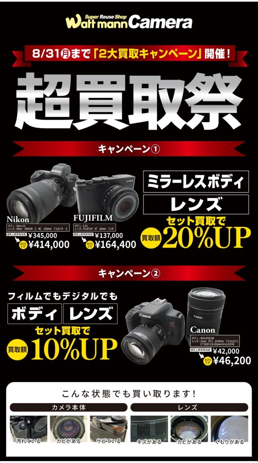 Nikon Z 5II x NIKKOR Z 100-400mm 超望遠でもこの軽さ？！？！