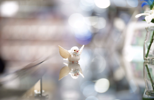 最上位であるG Masterシリーズ入荷!!!!!!!