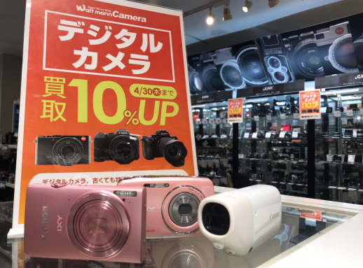 春を彩るピンクのカメラ