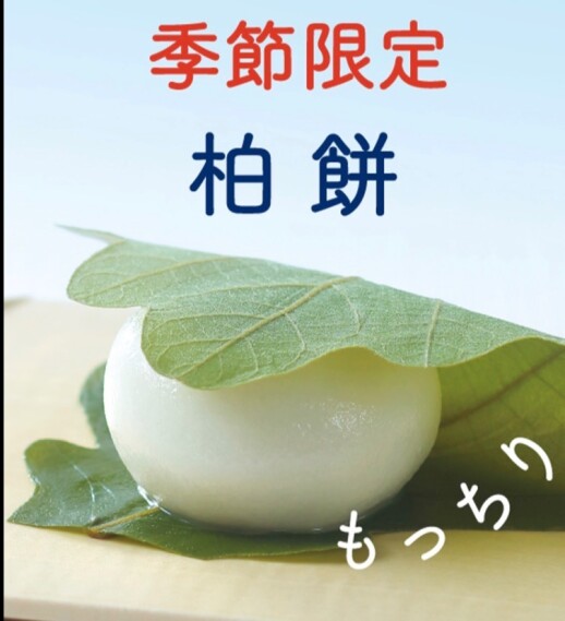 初夏の味わい 2種類の柏餅 （こしあん-粒あん)